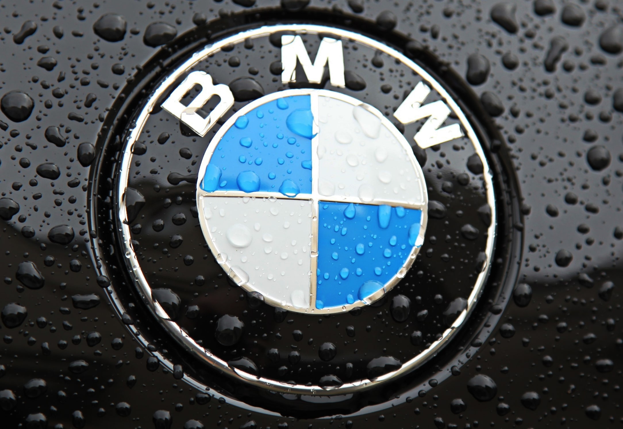 BMW logo Wallpapers
