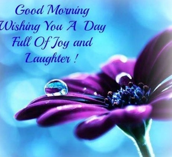 Good Morning