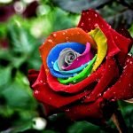 Beautiful Neymar Photos Images & Wallpapers