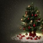 Christmas Tree GiF 2022 | Xmas Tree