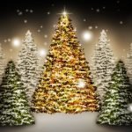 Christmas Tree Pictures 2022 | Christmas Photo