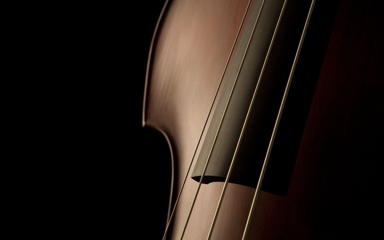 International Cello Day