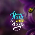 Good Night Love Wishes & Quotes