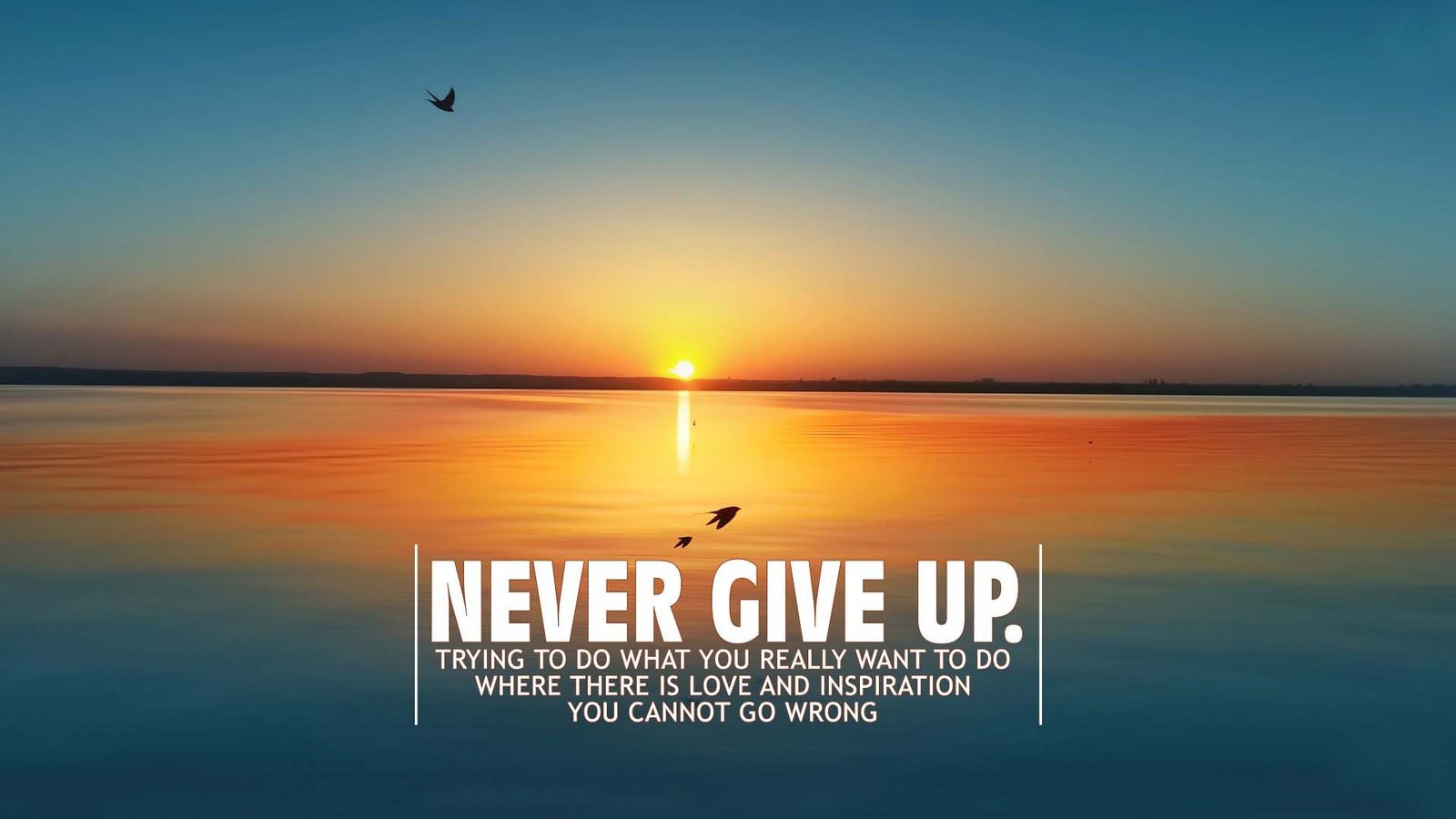 Motivation Never Give Up Quotes Never Give Up | Hd Motivation Wallpapers For Mobile And Desktop