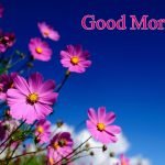 Good Night Wishes & Images 2022