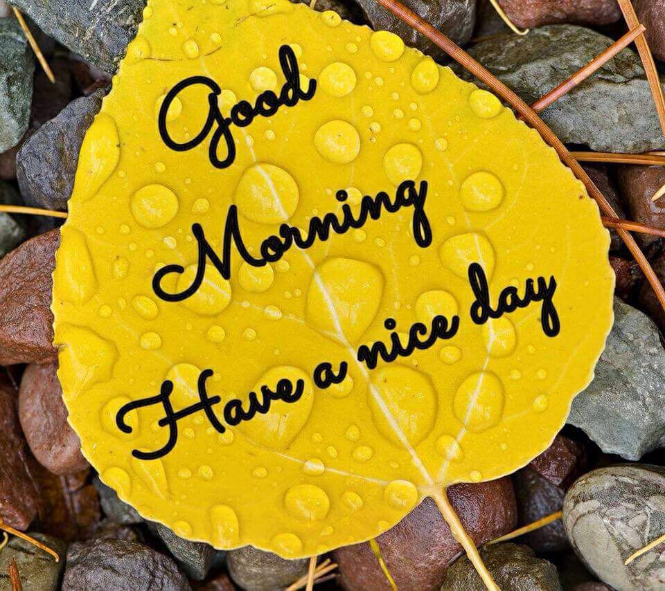 Good Morning