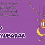 Mohammad Amir 2022 Images
