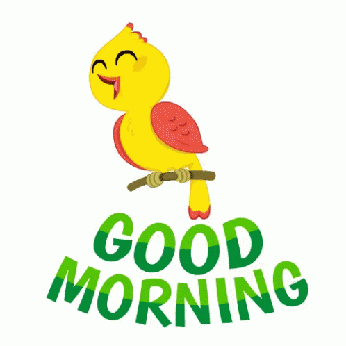 Morning Gif Bird