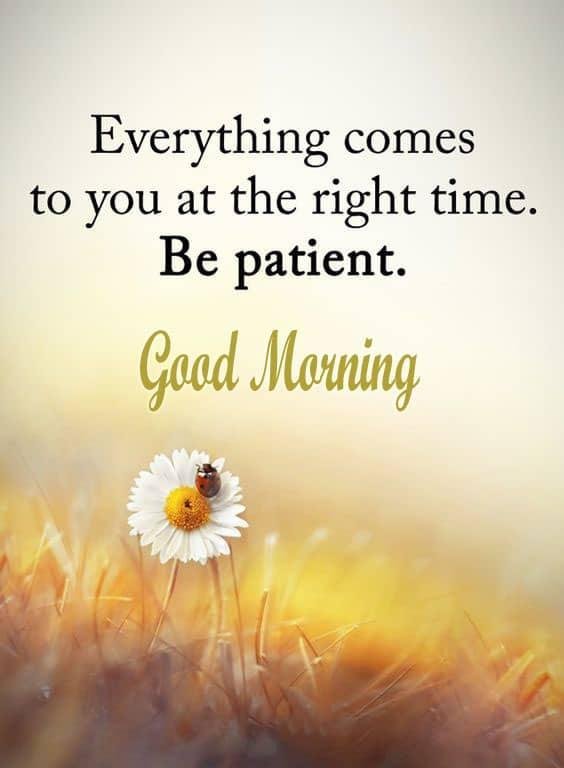 Good Morning hd Wishes