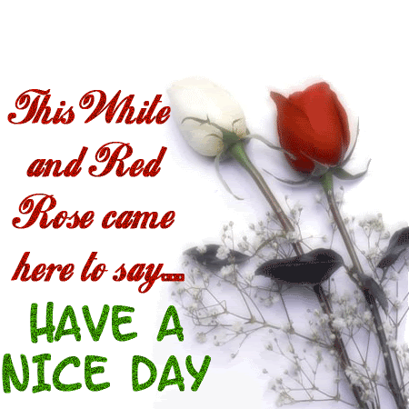 This White And Red Rose Came Here To Say