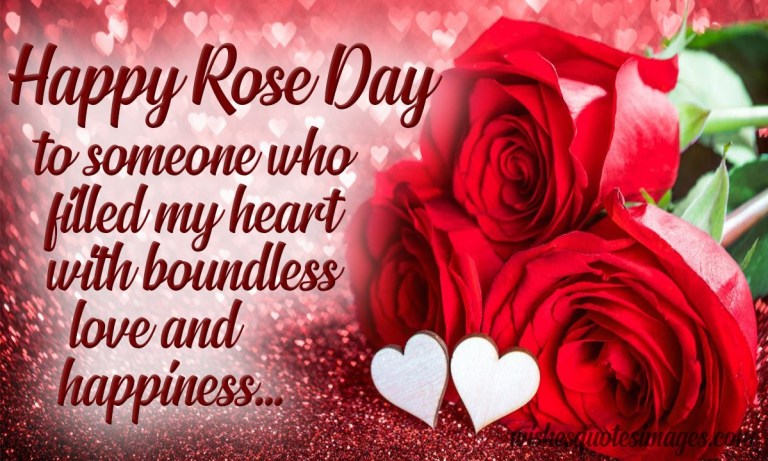 beautiful rose day message image