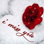 Best Wishes Happy Anniversary GIF Image With Quotes