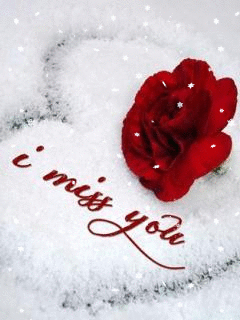 e5f20aefd9c79b0adf5ee63e7e90e972
