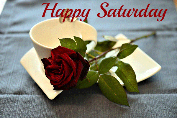 happy saturday gifs