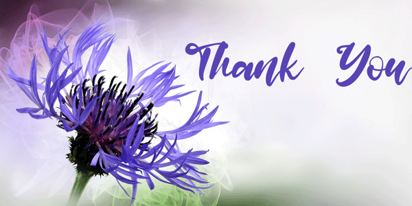 Best Thank You GIFs With Quotes