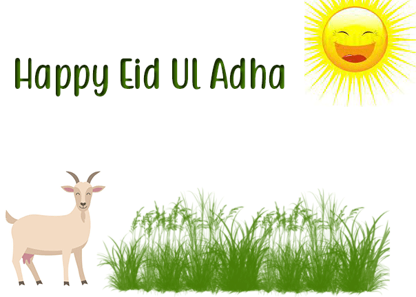 happy eid ul adha gifs
