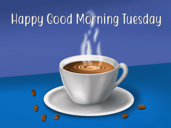 happy tuesday gifs