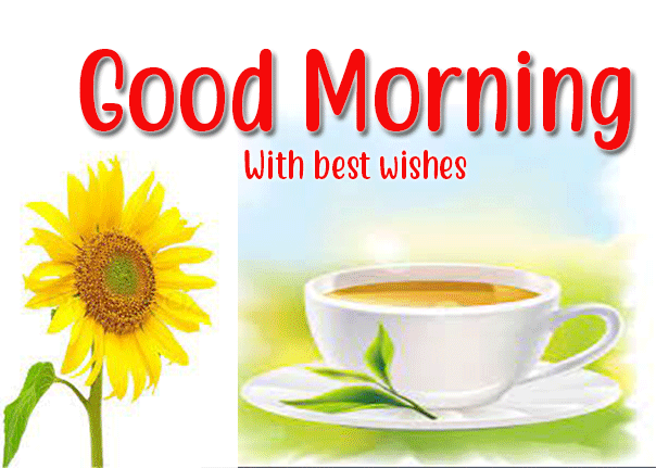 Good Morning GIFs