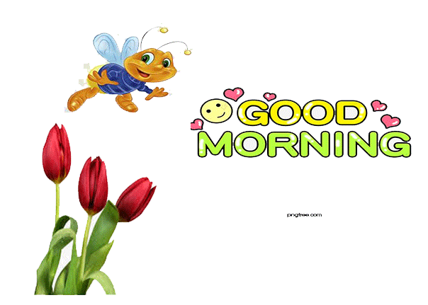 good morning gifs
