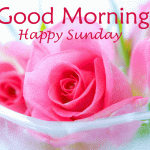 Best Happy New Year 2024 GIF Image With Wishes Quotes