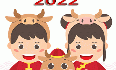 animation lunar chinese new year