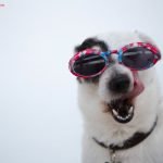 Funny GIF Image Funny GIF Funny GIF & Quotes