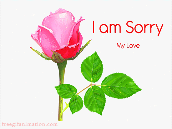 sorry day gif