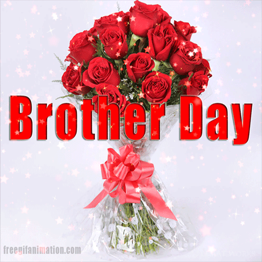 international brother day gif