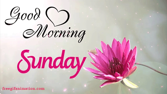 New Sunday GIF Animation Sunday GIF & Quotes New Sunday GIF Animation Sunday GIF & Quotes
