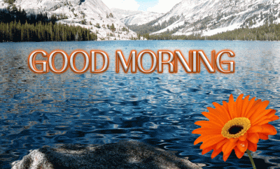 good-morning-gif-flower-in-lake-2023