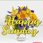 Amazing Good Night GIF Good Night Image Picture
