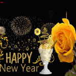 Amazing Good Night GIF Good Night Image Picture