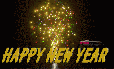 happy-new-year-gif-fireworks-ground-2024